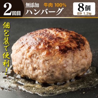 【毎月定期便】店主セレクト 釜揚しらす&ハンバーグ 全3回 099Z290