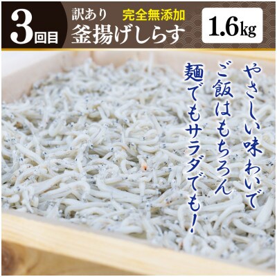【毎月定期便】店主セレクト 釜揚しらす&ハンバーグ 全3回 099Z290