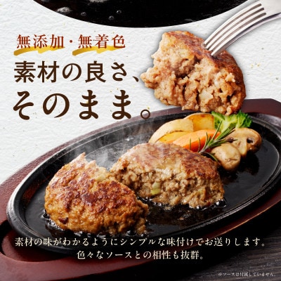 【毎月定期便】定期便ハンバーグ 8個×全2回 099Z449