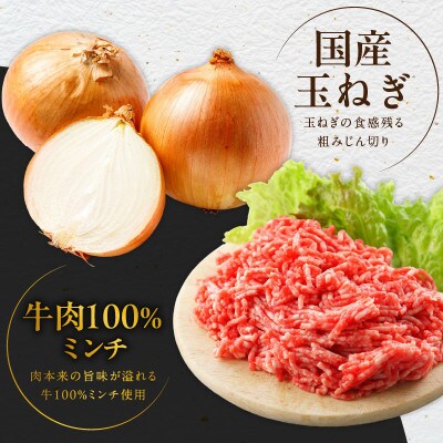 【毎月定期便】定期便ハンバーグ 15個×全2回 099Z453