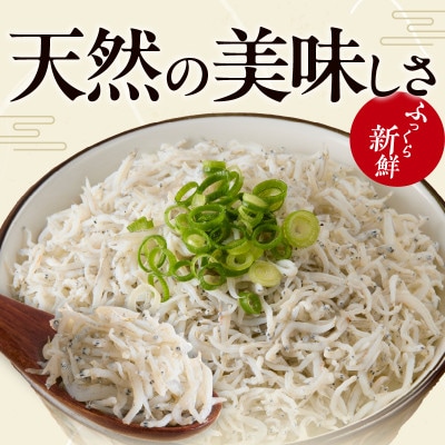 【毎月定期便】定期便釜揚げしらす 700g 全2回 099Z455