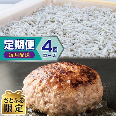 【毎月定期便】【さとふる限定】しらす、ハンバーグ月1回定期便 全4回 099Z498