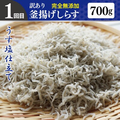 【毎月定期便】【さとふる限定】しらす、ハンバーグ月1回定期便 全4回 099Z498