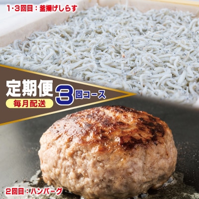 【毎月定期便】店主セレクト ハンバーグ/しらす 食べ比べ 定期便 全3回 099Z498