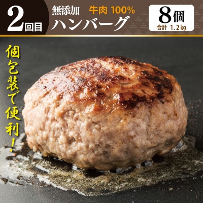 【毎月定期便】店主セレクト ハンバーグ/しらす 食べ比べ 定期便 全3回 099Z498