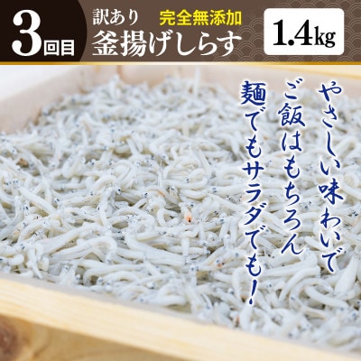 【毎月定期便】店主セレクト ハンバーグ/しらす 食べ比べ 定期便 全3回 099Z498