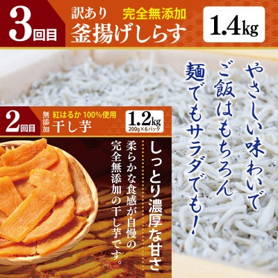 【毎月定期便】店主セレクト 食べ比べ 定期便 全5回 099Z499