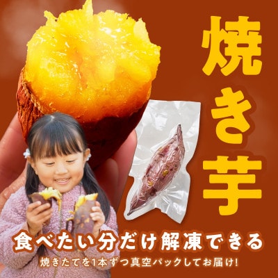 干し芋 300g&焼き芋1kgセット 無添加 紅はるか 099S025【複数個口で配送】