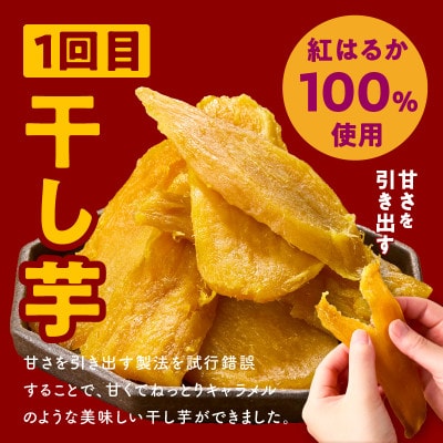 【毎月定期便】干し芋 600g/焼き芋 1kg 全2回 099Z524