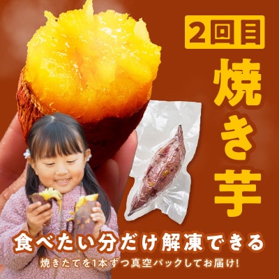 【毎月定期便】干し芋 600g/焼き芋 1kg 全2回 099Z524