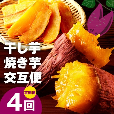 【毎月定期便】干し芋 600g/焼き芋 1kg 交互便 全4回 099Z525