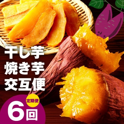 【毎月定期便】干し芋 600g/焼き芋 1kg 交互便 全6回 099Z526
