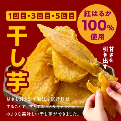 【毎月定期便】干し芋 600g/焼き芋 1kg 交互便 全6回 099Z526