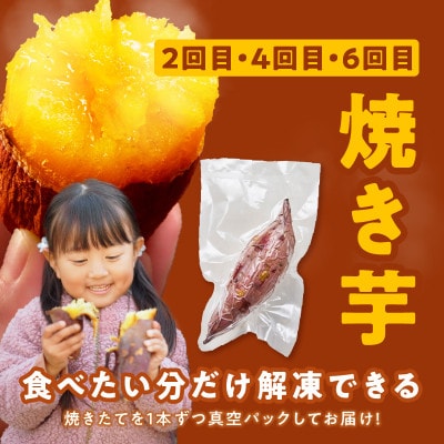 【毎月定期便】干し芋 600g/焼き芋 1kg 交互便 全6回 099Z526
