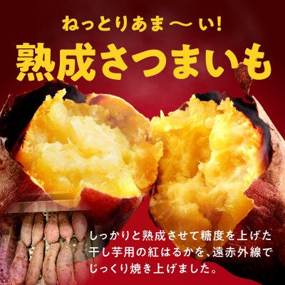 【毎月定期便】干し芋屋の焼き芋 紅はるか約1kg 個包装4～6本入り 全2回 099Z527
