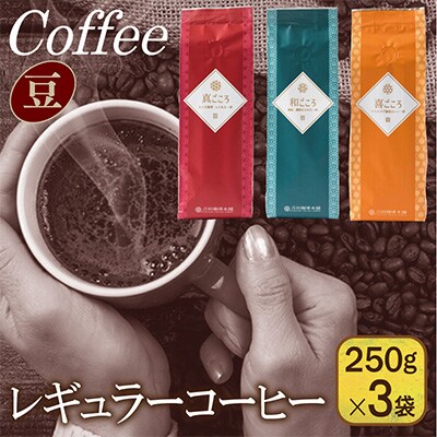 レギュラーコーヒー 250g×3袋セット/豆 099H1841