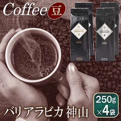 バリ・アラビカ神山 250g×4袋セット/豆 099H1858