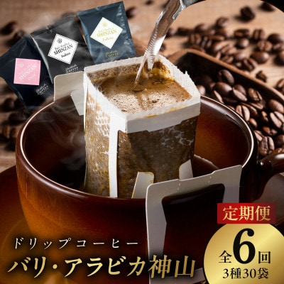 【毎月定期便】ドリップコーヒー 工場直送 3種30袋×全6回 099Z147