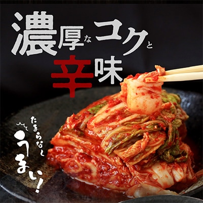 リピーター続出! はくさいキムチ1.5kg 