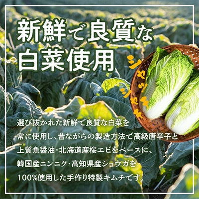 リピーター続出! はくさいキムチ1.5kg 