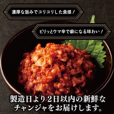 リピーター続出!こだわり 特製チャンジャ 300g G2757