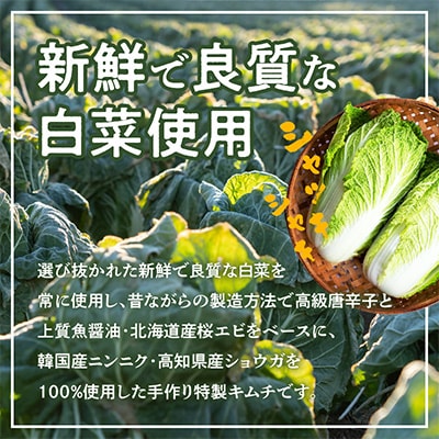 白菜キムチ1kg 099H3026