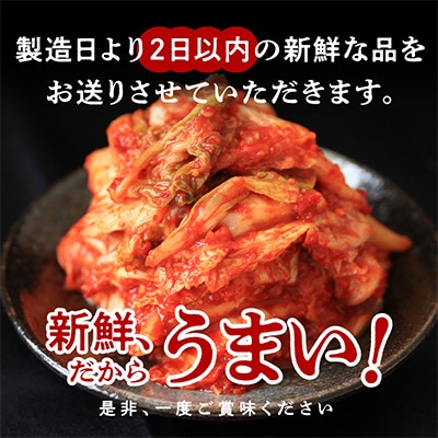 白菜キムチ1kg 099H3026