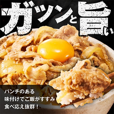スタミナ丼の具 1.5kg(150g×10パック)湯煎 簡単調理 緊急支援