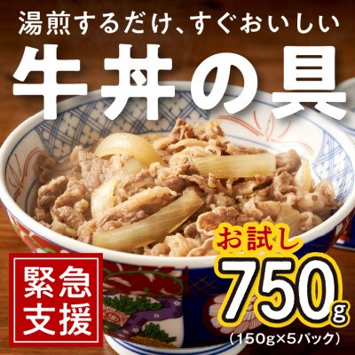 牛丼の具 150g×5パック 湯煎 簡単調理 緊急支援 099H1727