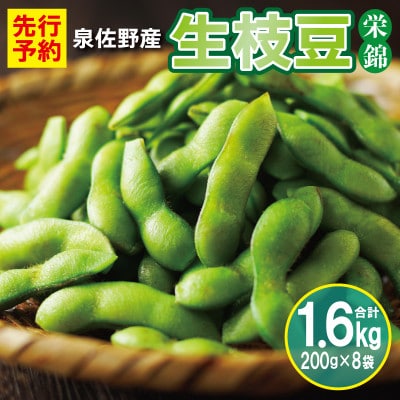 【先行予約】新鮮枝豆(栄錦)合計 1.6kg 099H2307