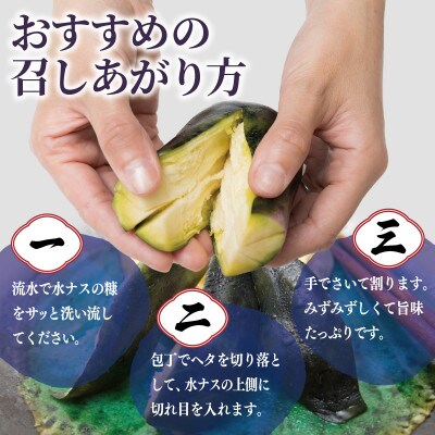 こだわり水ナス漬 4個【国産 旬 おつまみにも】 005A795