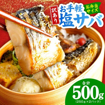 お手軽 訳アリ塩サバ500g 099H4469