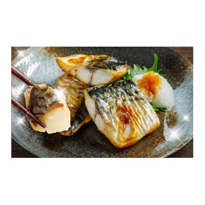 お手軽 訳アリ塩サバ500g 099H4469