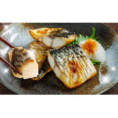 お手軽 訳アリ塩サバ1kg 099H4470