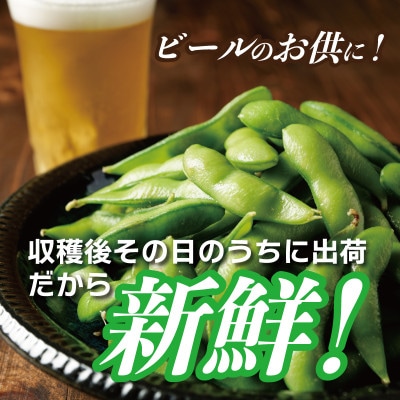 【先行予約/2027年6月中旬以降発送】新鮮枝豆(栄錦)合計2kg(200g×10)