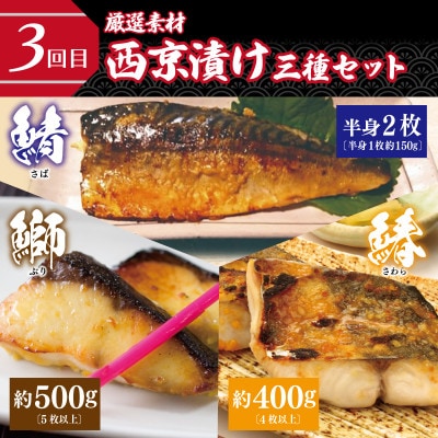 【毎月定期便】栄物産店主厳選 食べ比べ 全5回 099Z249