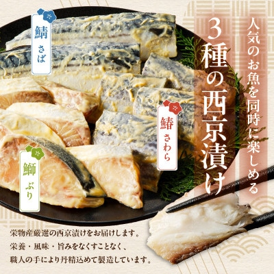 【毎月定期便】厳選素材 西京漬け 3種食べ比べセット(さば/ぶり/さわら)全2回 099Z469