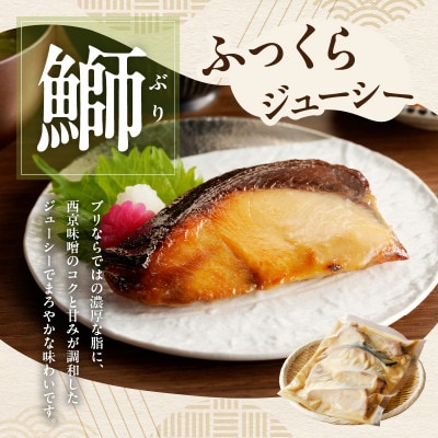 【毎月定期便】厳選素材 西京漬け 3種食べ比べセット(さば/ぶり/さわら)全2回 099Z469