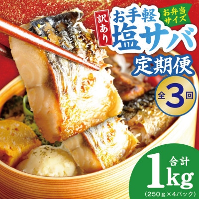 【毎月定期便】塩さば 1kg(250g×4P) お弁当サイズ 生活応援 小分け 切身 訳あり全3回