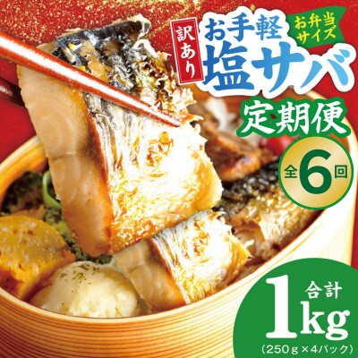 【毎月定期便】塩さば 1kg(250g×4P) お弁当サイズ 生活応援 小分け 切身 訳あり全6回