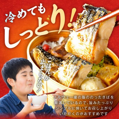 【毎月定期便】塩さば 1kg(250g×4P) お弁当サイズ 生活応援 小分け 切身 訳あり全6回