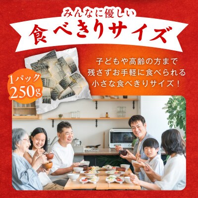 【毎月定期便】塩さば 1kg(250g×4P) お弁当サイズ 生活応援 小分け 切身 訳あり全6回