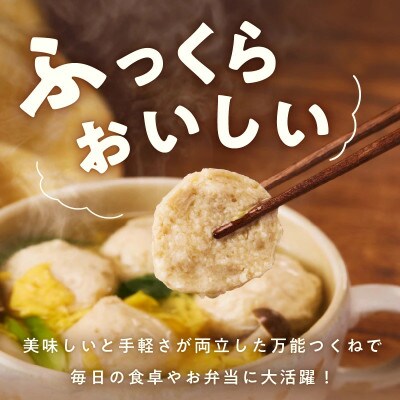 【毎月定期便】国産鶏使用 つくね 2kg(500g×4P) 調理済/簡単調理 泉州たまねぎ入り全3回