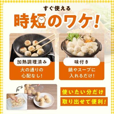 【毎月定期便】国産鶏使用 つくね 2kg(500g×4P) 調理済/簡単調理 泉州たまねぎ入り全3回