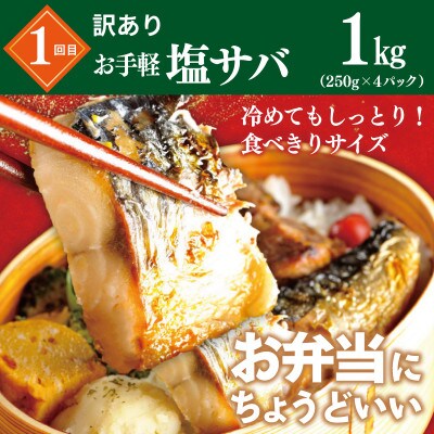 【毎月定期便】栄物産のメッチャえ～やん定期便 【サバ/チャーハン/つくね/牛丼】全4回