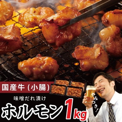 国産 牛肉 ホルモン 1kg 味付けMIX味噌/塩だれ 焼肉 小分け 250g×4 G1769