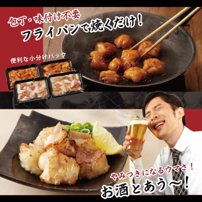 国産 牛肉 ホルモン 1kg 塩だれ漬け 焼肉用 小分け 250g×4P G1762