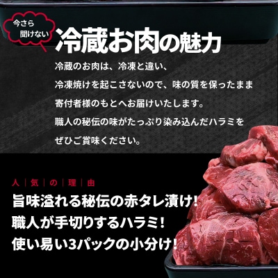 生!ノン・フローズン　牛ハラミたれ漬焼肉 合計1.2kg(400g×3)010B597