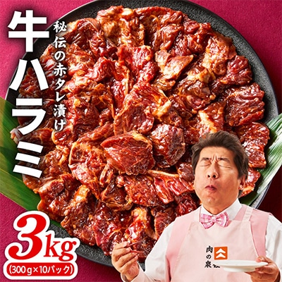 牛ハラミ肉 3kg(300g×10P)タレ漬け 訳あり サイズ不揃い 099H4053