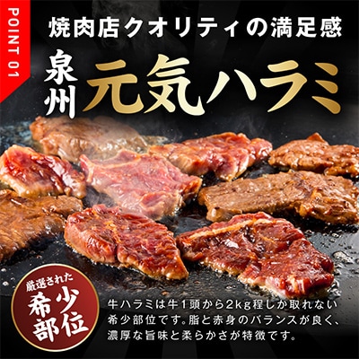 牛ハラミ肉 3kg(300g×10P)タレ漬け 訳あり サイズ不揃い 099H4053
